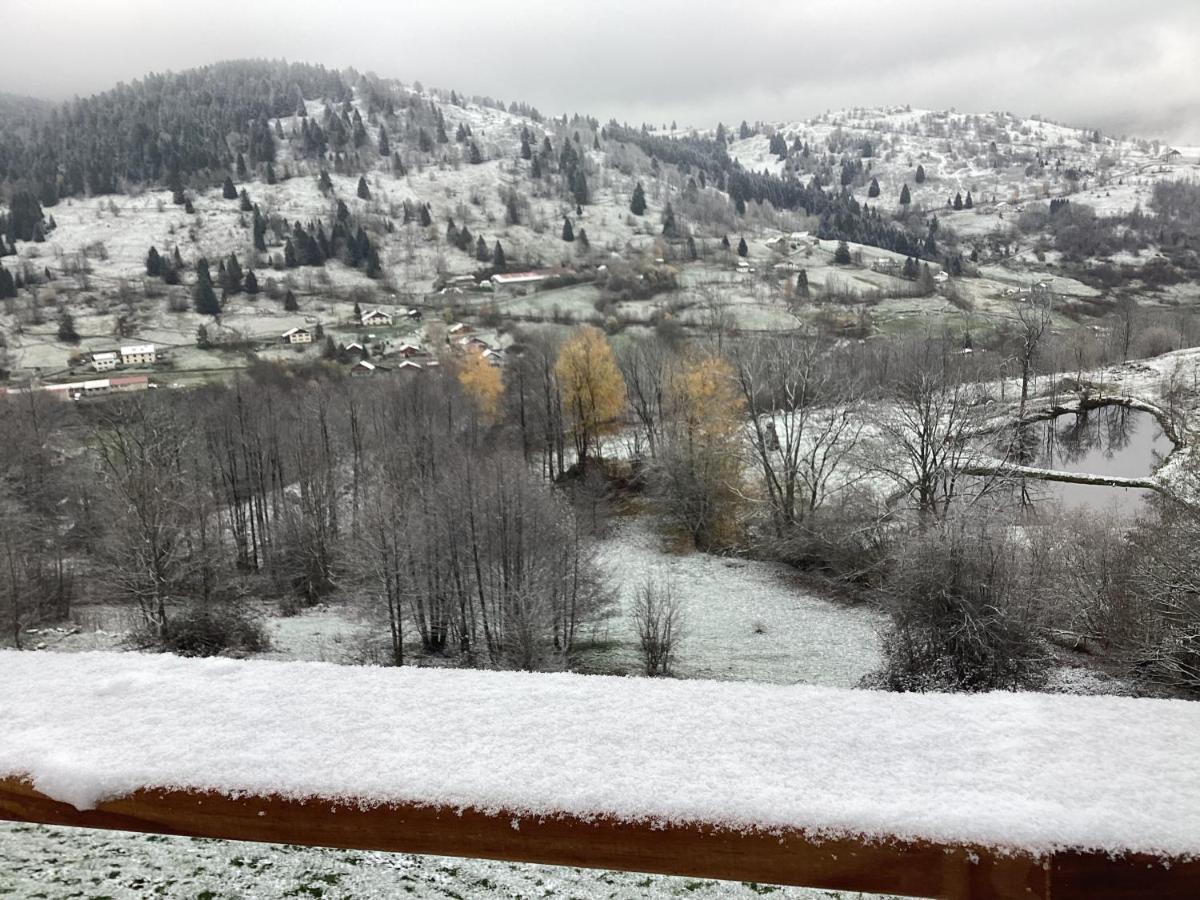 Les Bambi & Jacuzzi Privatif La Bresse